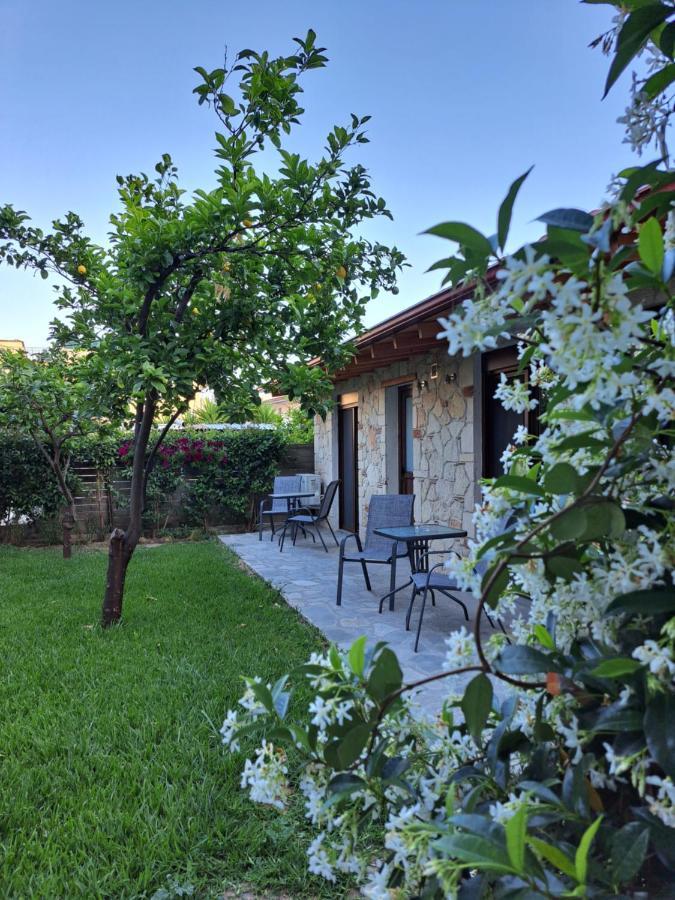 Citrus Garden Daire Nea Skioni Dış mekan fotoğraf